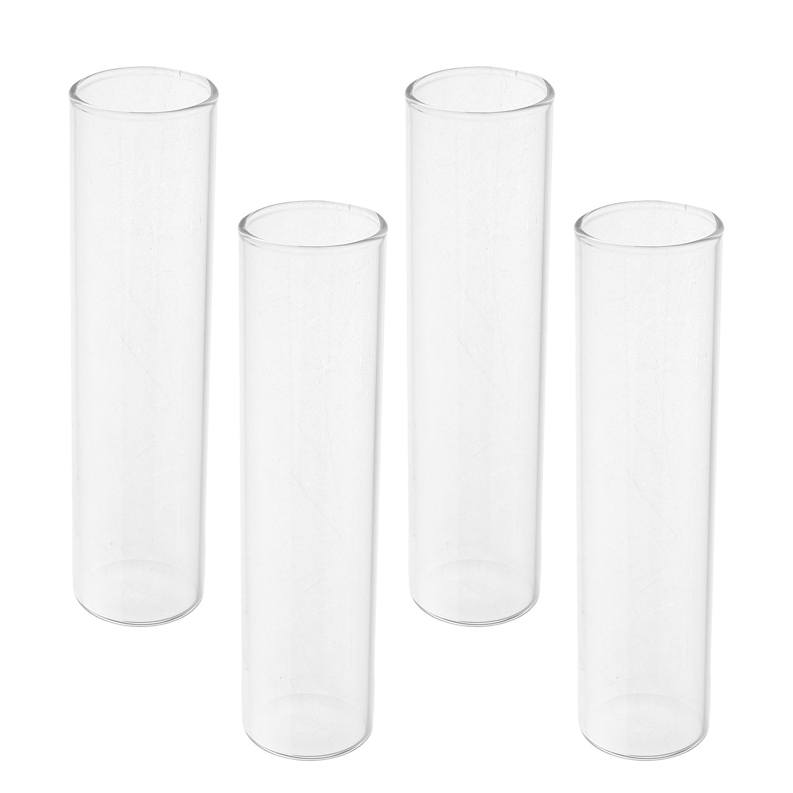 Propagation Station Vase - 4Pcs Glass Test Tube Vases Clear