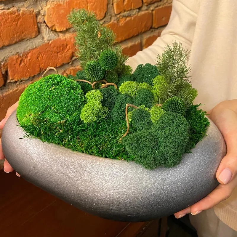 Eternal Life Moss Grass Artifi - Sphagnum Moss Dry recension och pris
