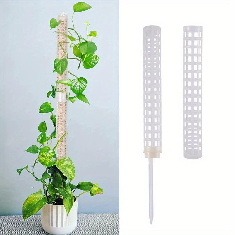 Plant Climbing Column Sphagnum - Sphagnum Moss Dry recension och pris