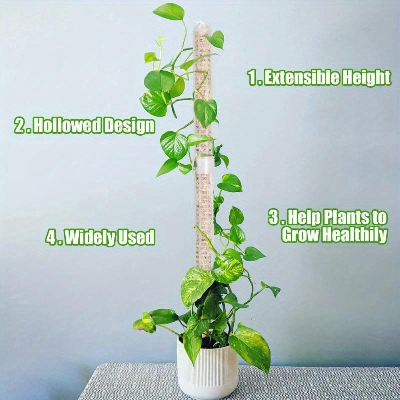 Plant Climbing Column Sphagnum - Sphagnum Moss Dry recension och pris